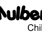 Mulberry Tree Ascot OSHC - Child Care Darwin