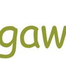 Bungawitta Child Care Centre - Child Care Darwin
