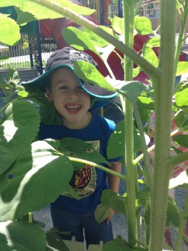 Central Gardens Child Care Pre School - Child Care Darwin 2