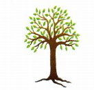 Kadina Child Care Centre - Child Care Darwin