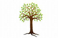 Kadina Child Care Centre - Child Care Darwin 0