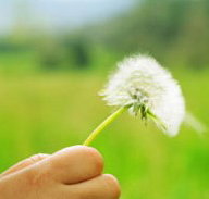 Green Beginnings Child Care Centre  Kindy - Child Care Darwin