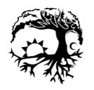 Camp Hill Outside School Care Service - Child Care Darwin