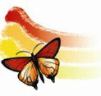 Capalaba Kindergarten - Child Care Darwin