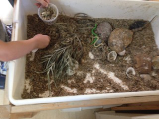 Gumnuts On Hardys Road - Child Care Darwin 3