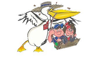 Fullerton Cove NSW Child Care Darwin