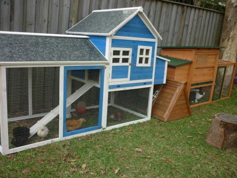 Active Littlies Child Care Centre - Child Care Darwin 3