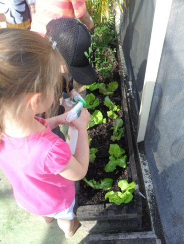 Hopscotch Boambee Childcare/Preschool - Child Care Darwin 6