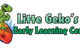 Little Gekos Early Learning Centre - thumb 0