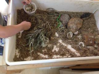 Gumnuts On Hardys Road - Child Care Darwin 9