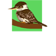 Little Kookas Kingsthorpe Childcare - Child Care Darwin