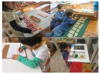 Parkside Montessori