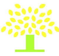 Conyngham Street Community Childcare Centre - Child Care Darwin