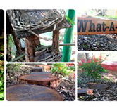 Willmore Kindergarten  Preschool - Child Care Darwin